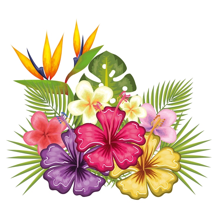 Vecteur fleurs tropicales