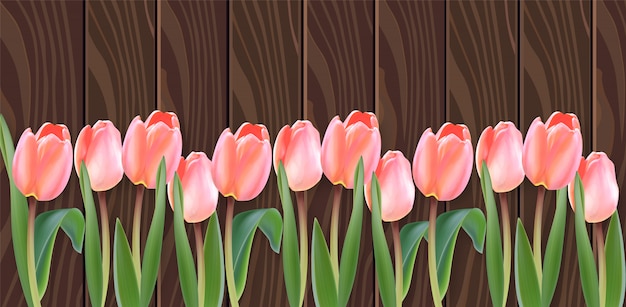 Fleurs de tulipes blanches