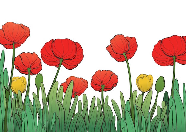 Vecteur fleurs de tulipes rouges et jaunes vives sur fond vert