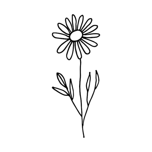 Vecteur floral doodle camomille fleur de prairie sauvage illustration dessinée à la main