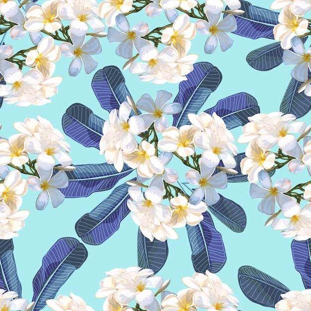 Vecteur floral pattern sans couture avec fleur de plumeria