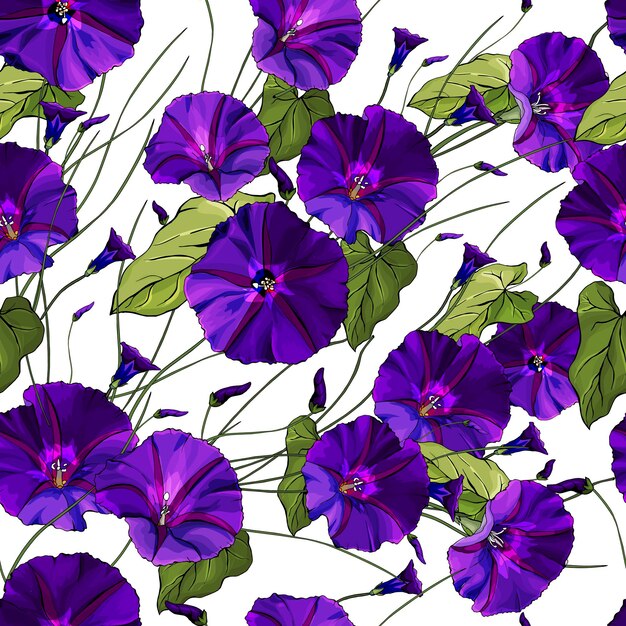 Floral Pattern Sans Couture Avec Liseron De Fleurs Violettes.