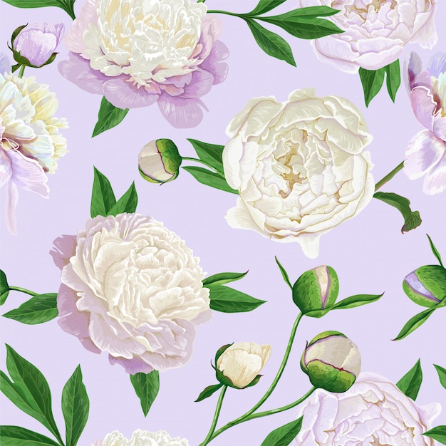 Floral Seamless Pattern Avec Pivoines