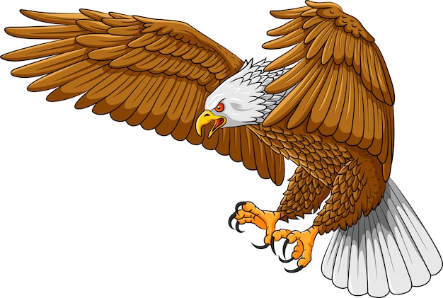 Flying Eagle Mascot Logo Cartoon