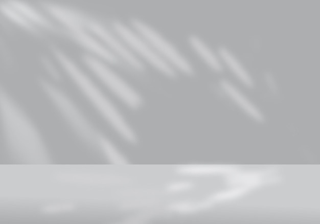 fond abstrait ombre blanche
