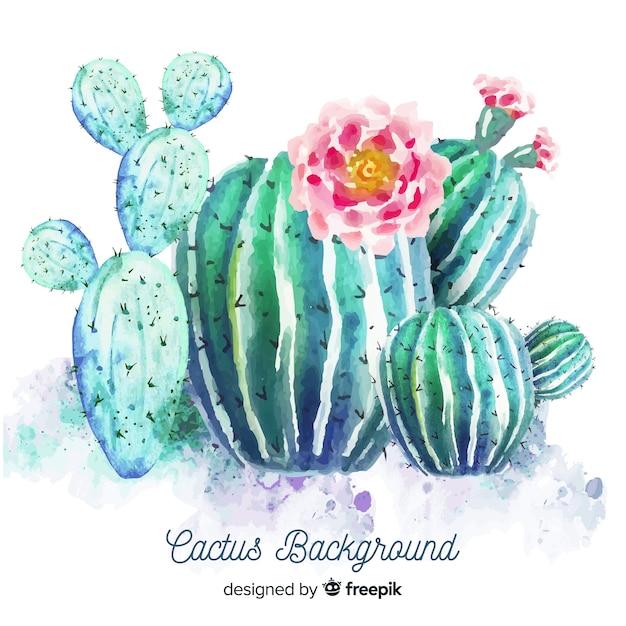 Vecteur fond aquarelle de cactus