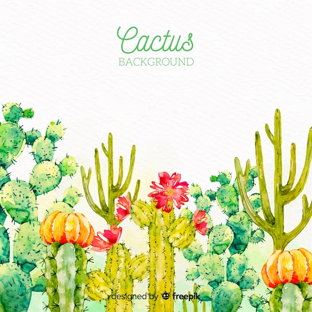 Fond Aquarelle De Cactus