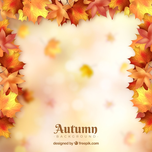 fond d'automne avec les feuilles colorées