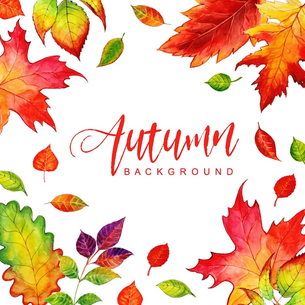 Fond de belles feuilles d&#39;automne aquarelle