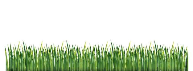 Un fond blanc avec une herbe verte et le mot "vert" dessus.