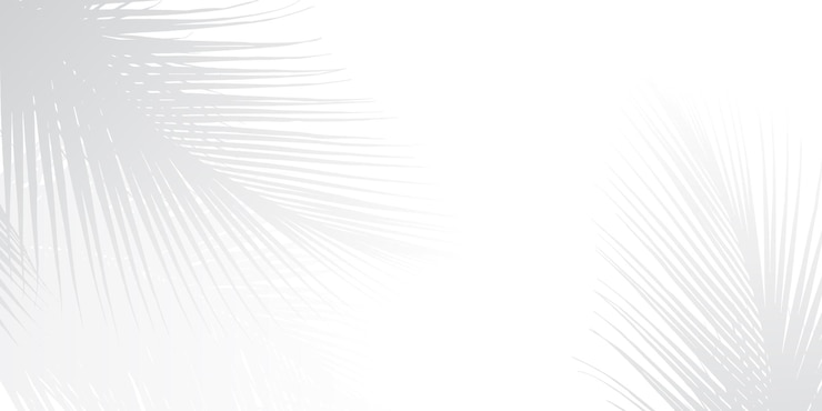 Vecteur un fond blanc avec un motif de lignes qui disent z
