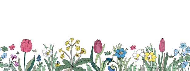 Fond De Bordure Transparente Floral Avec Main Colorée Isolée D