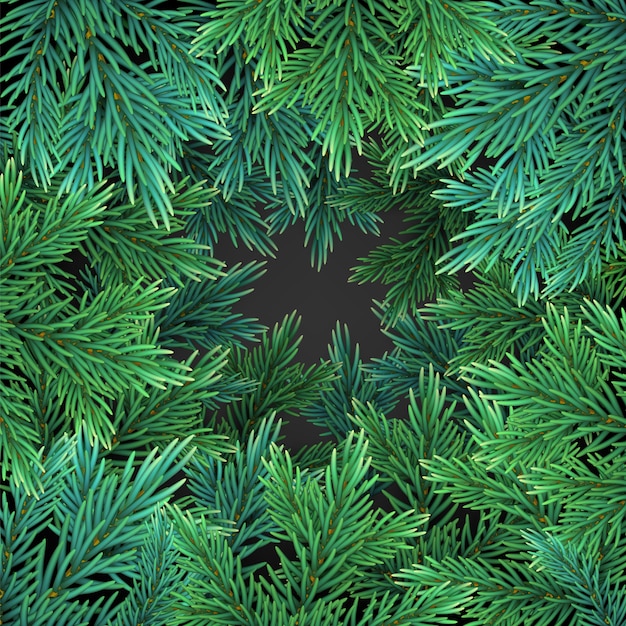 Fond avec des branches d'arbres de Noël réalistes verts pour carte de voeux