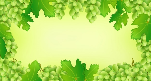 Fond de cadre de raisin.