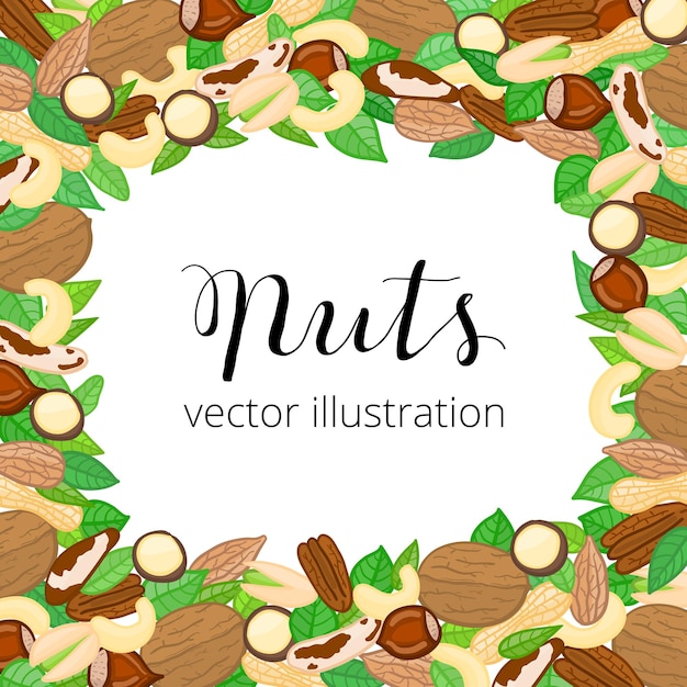 Fond carré avec des feuilles de noix de doodle