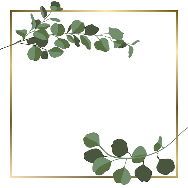 Fond carré de vecteur avec des branches d'eucalyptus et cadre doré