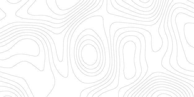 Fond de carte de ligne de motif topographique, fond de ligne ondulée, grille géographique, vecteur, illustration
