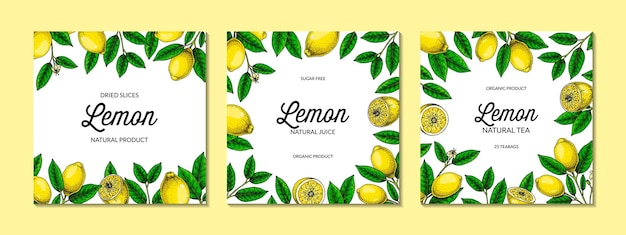 Fond de citron carré Illustration vectorielle colorée dessinée à la main dans le style de croquis