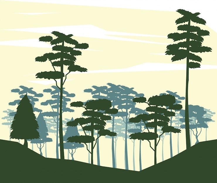 Vecteur fond coloré avec la silhouette paysage de la forêt