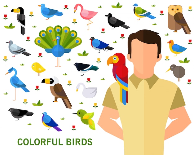 Fond De Concept D'oiseaux Colorés.