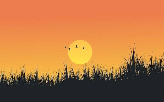 Fond De Coucher De Soleil Avec De L'herbe Et Des Oiseaux En Silhouette