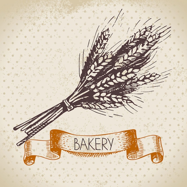 Vecteur fond de croquis de boulangerie. vintage illustration dessinée à la main de blé