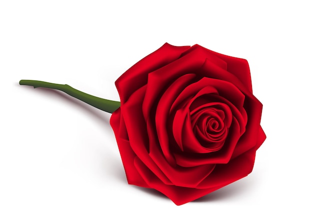 Fond doux Saint Valentin avec des roses rouges réalistes
