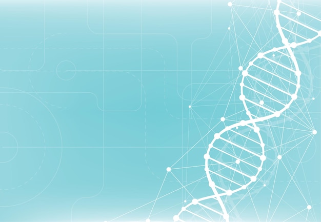 Fond D'écran Ou Bannière De Modèle Scientifique Avec Des Molécules D'adn