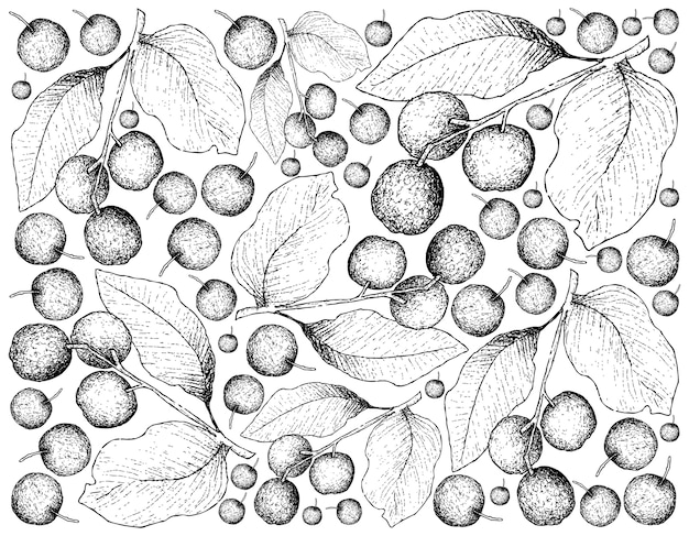 Fond D'écran D'illustration De Fruits Tropicaux De Croquis Dessinés à La Main