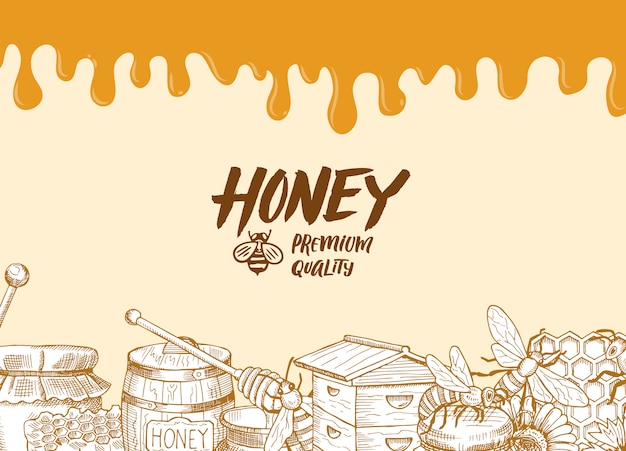 Vecteur fond avec des éléments de thème de miel profilés esquissés, gouttes de miel et lieu pour illustration de texte