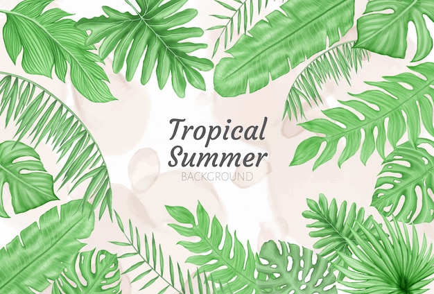 Fond D'été Avec Des Feuilles Tropicales