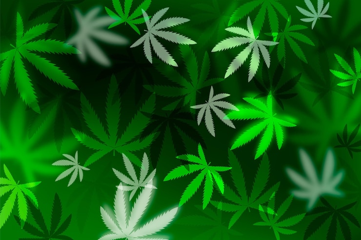 Vecteur fond de feuille de cannabis réaliste