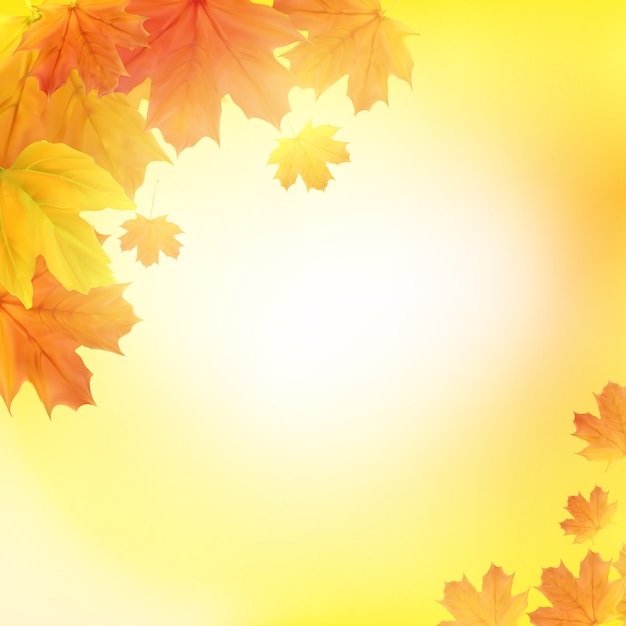 Fond de feuilles d'automne brillant. Illustration