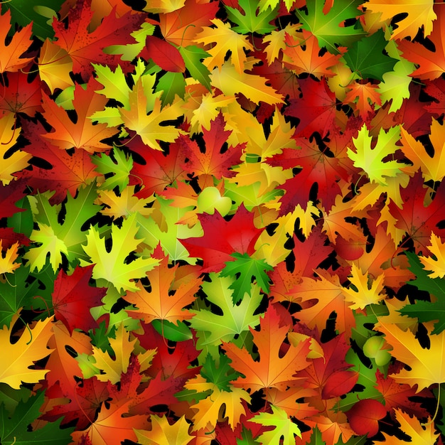 Vecteur fond avec des feuilles d'automne colorés.