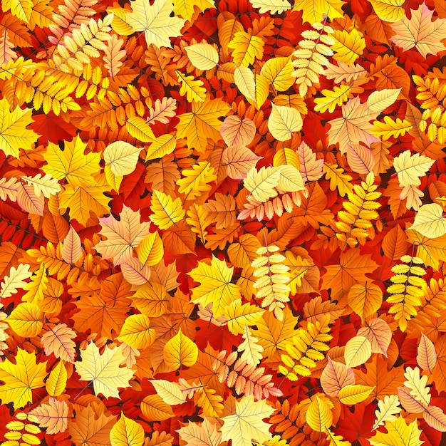 Fond de feuilles d'automne