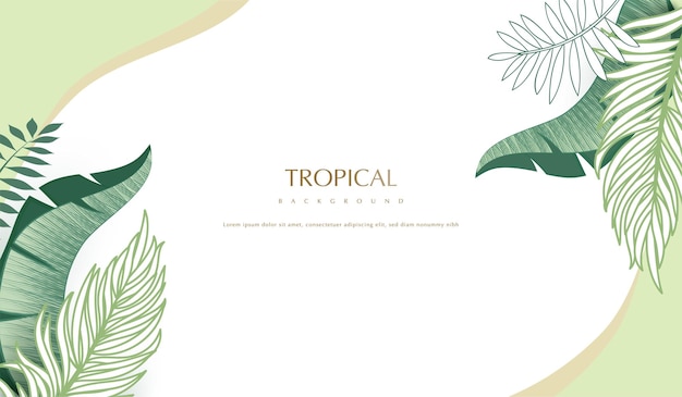 Fond De Feuilles De Plantes Tropicales