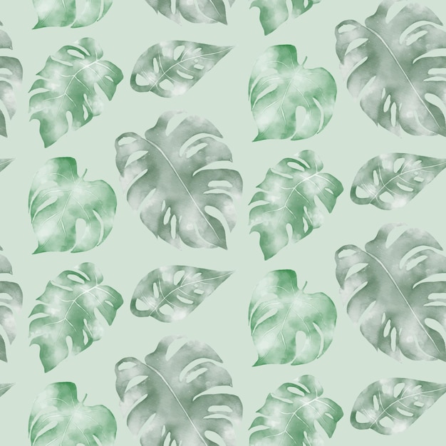 Fond De Feuilles Tropicales Aquarelle 1105