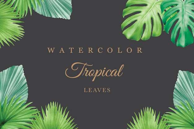 Fond, Feuilles Tropicales, Aquarelle