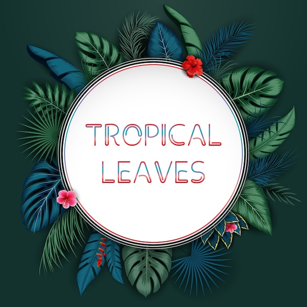 Fond de feuilles tropicales avec cadre rond