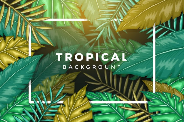 Fond De Feuilles Tropicales Avec Cadre