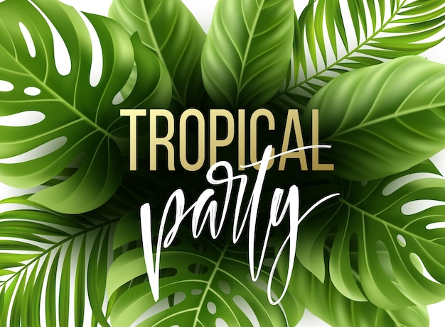 Fond de feuilles tropicales d'été avec des feuilles de palmier exotiques.