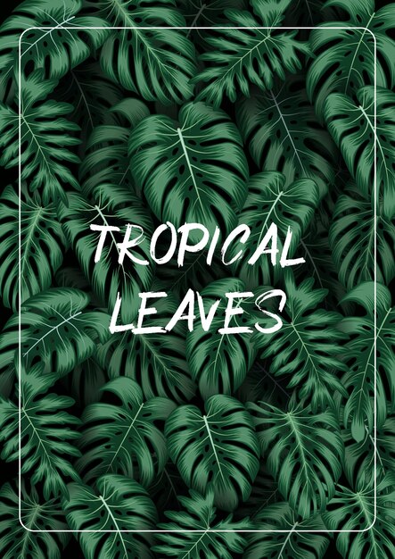 Fond De Feuilles Tropicales Avec Des Plantes De La Jungle