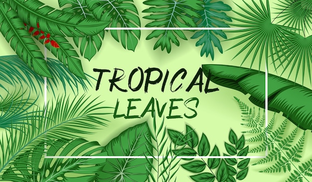 Fond de feuilles tropicales avec des plantes de la jungle