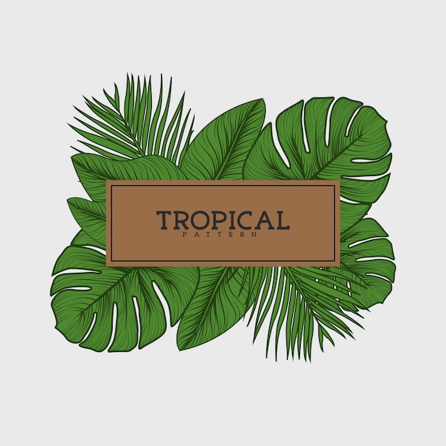 Vecteur fond de feuilles tropicales