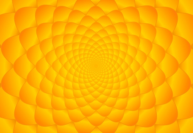 fond de fibonacci orange et jaune