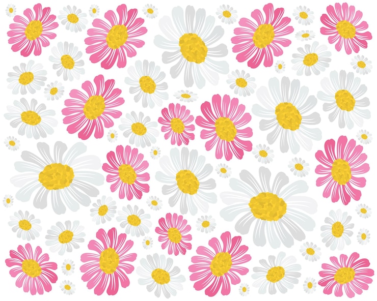 Vecteur fond de fleurs de marguerite rose et blanc frais