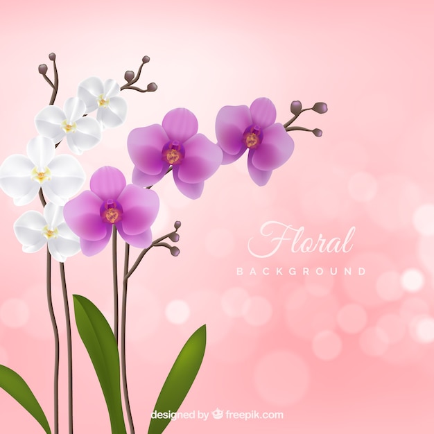 Fond Floral Avec Des Orchidées Réalistes
