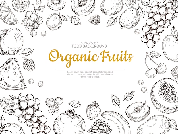 Vecteur fond de fruits. agriculteur eco fruits et baies vintage croquis affiche des aliments sains