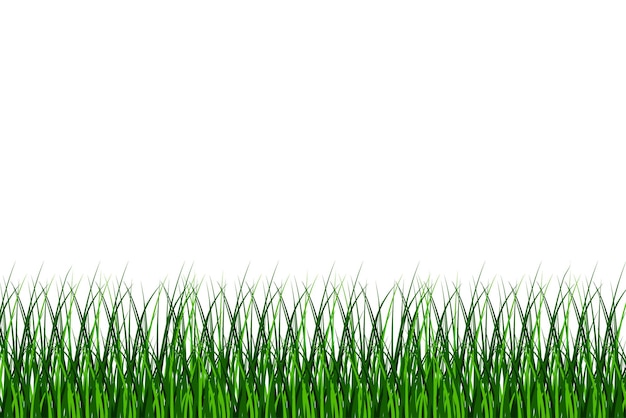 Fond d'herbe verte. Fond de champ naturel. Illustration vectorielle. SPE 10.