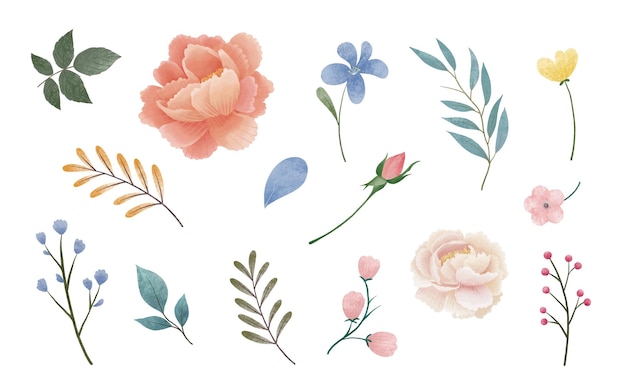 Vecteur fond d'illustrations de conception de fleurs diverses